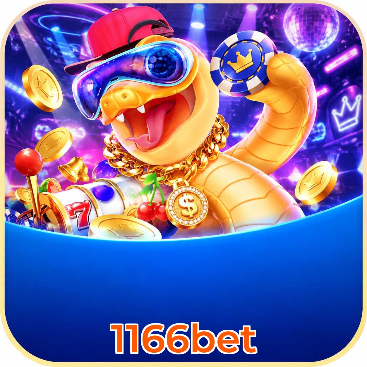 1166bet App vs Web